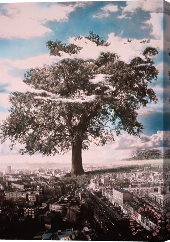 Hag Giant Tree in City Stretched Canvas Print / Canvas Art