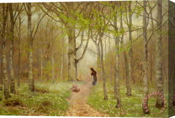Hans Anderson Brendekilde Path Through The Anemones Stretched Canvas Print / Canvas Art