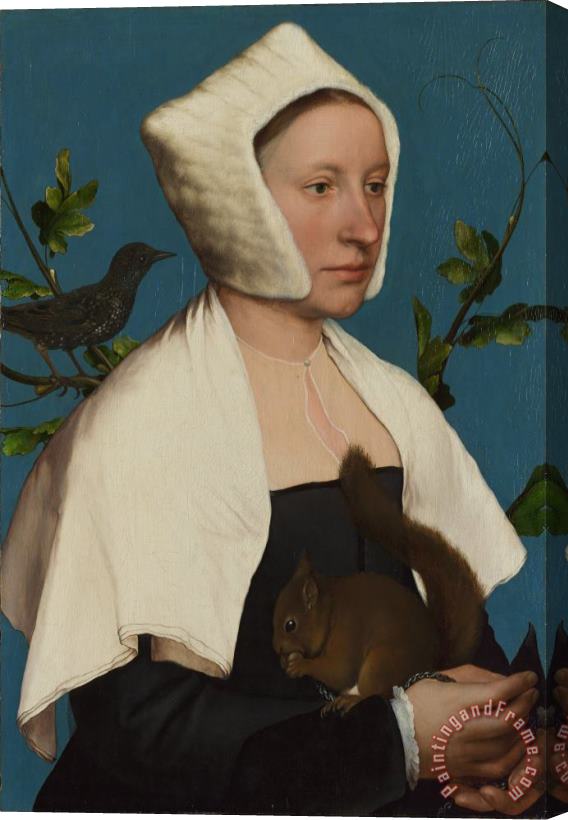 Hans Holbein the Younger A Lady with a Squirrel And a Starling (anne Lovell ) Stretched Canvas Painting / Canvas Art