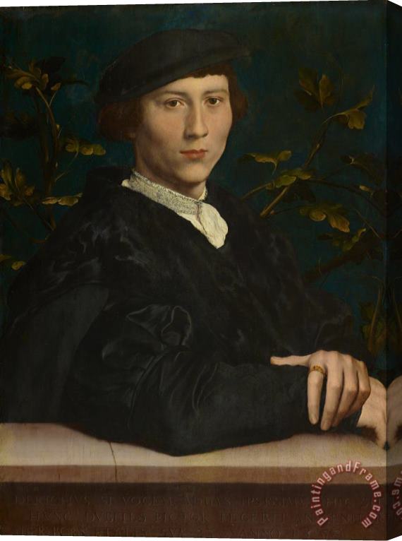 Hans Holbein the Younger Derich Born (1510 49) Stretched Canvas Painting / Canvas Art