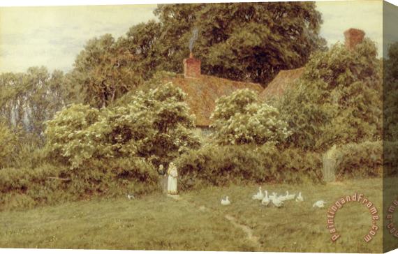Helen Allingham A Cottage at Farringford Isle of Wight Stretched Canvas Painting / Canvas Art