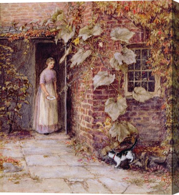 Helen Allingham Feeding the Kitten Stretched Canvas Painting / Canvas Art