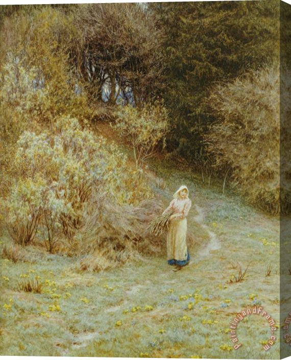 Helen Allingham In the Primrose Wood Stretched Canvas Print / Canvas Art