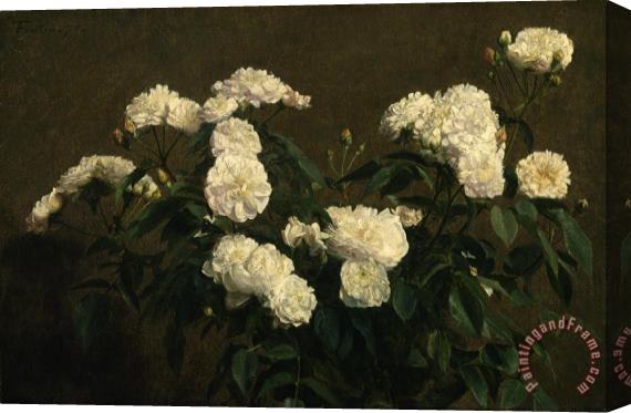 Henri Fantin Latour Still Life of White Roses Stretched Canvas Painting / Canvas Art