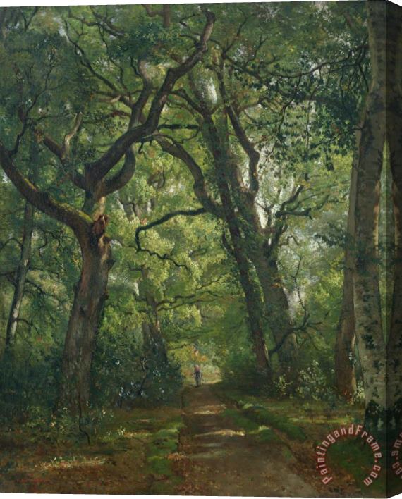 Henri Joseph Constant Dutilleux Path in the Forest Stretched Canvas Print / Canvas Art
