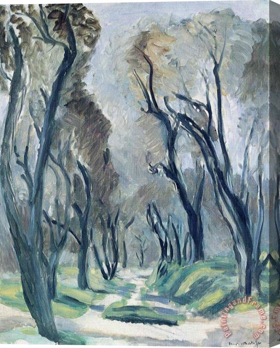Henri Matisse Avenue of Olive Trees 1952 Stretched Canvas Print / Canvas Art