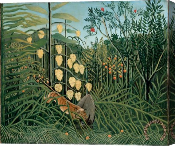 Henri Rousseau In a Tropical Forest. Struggle Between Tiger And Bull Stretched Canvas Painting / Canvas Art
