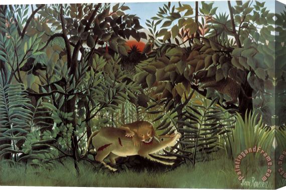 Henri Rousseau Rousseau Hungry Lion Stretched Canvas Print / Canvas Art