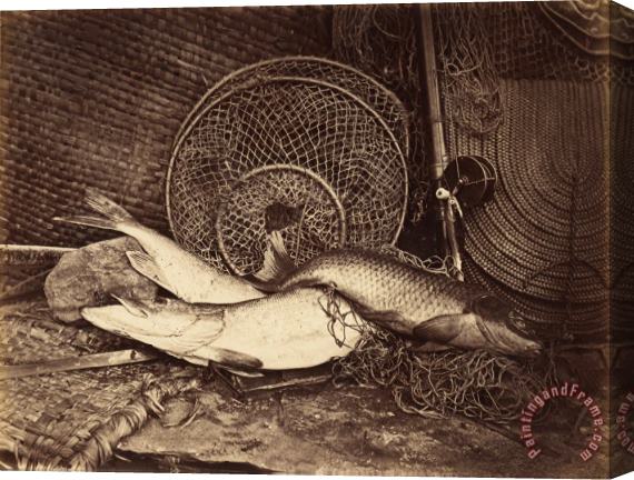 Henry Bailey Still Life with Carp And Pike Stretched Canvas Painting / Canvas Art