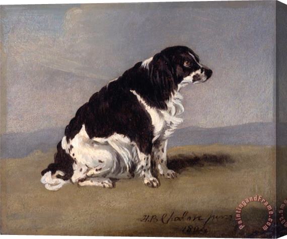 Henry Bernard Chalon The Duchess of York's Spaniel Stretched Canvas Painting / Canvas Art