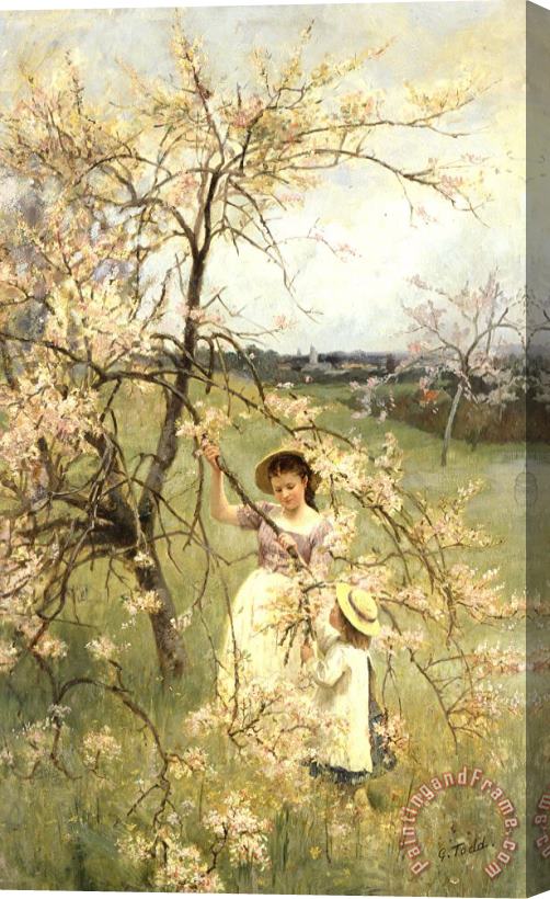 Henry George Todd Spring Stretched Canvas Print / Canvas Art