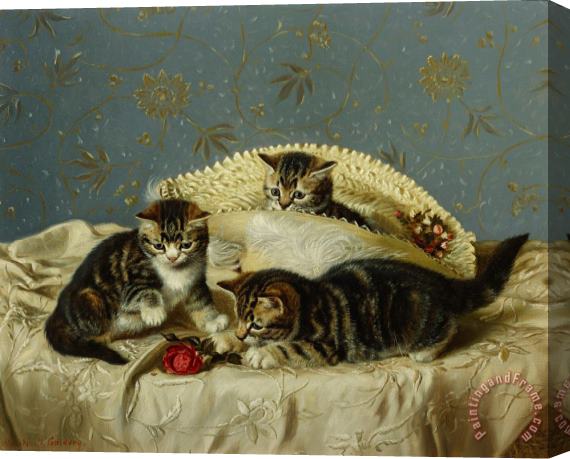 HH Couldery Kittens Up To Mischief Stretched Canvas Print / Canvas Art