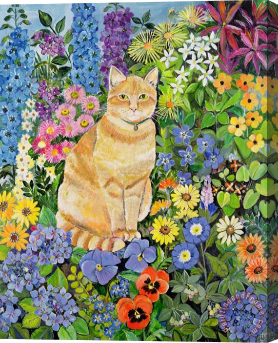 Hilary Jones Gordon S Cat Stretched Canvas Print / Canvas Art
