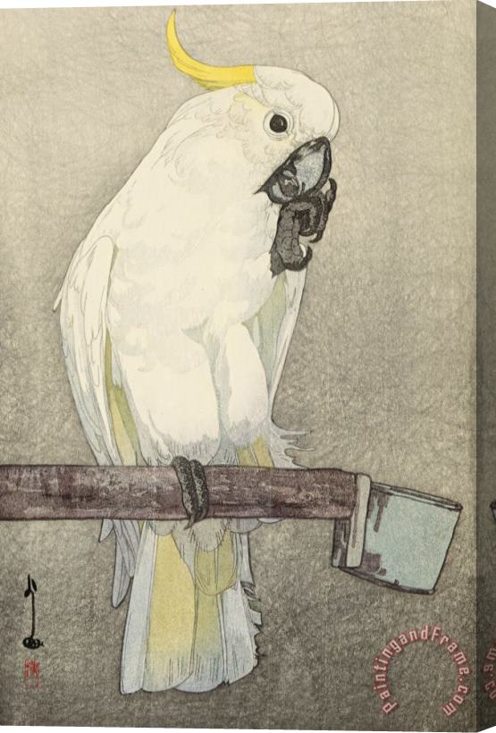Hiroshi Yoshida Kibatan Parrot (dobutsu En, Kibatan Omu), From The Zoological Garden Series Stretched Canvas Print / Canvas Art