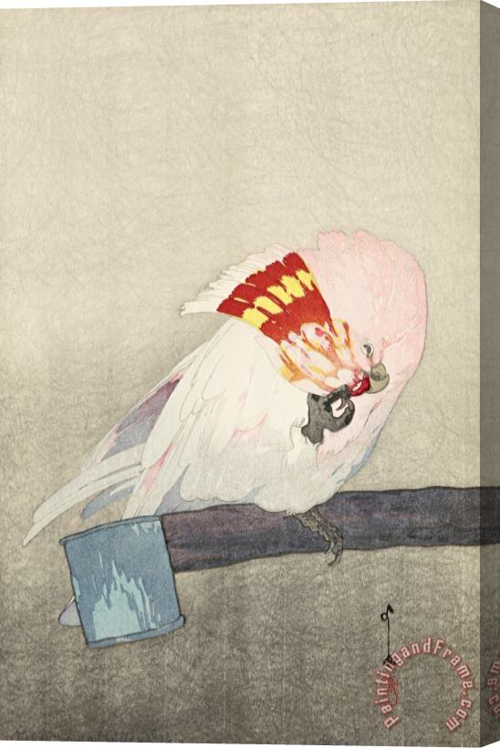 Hiroshi Yoshida Kurumasaka Parrot (dobutsu En, Kurumasaka Omu), From The Zoological Garden Series Stretched Canvas Print / Canvas Art