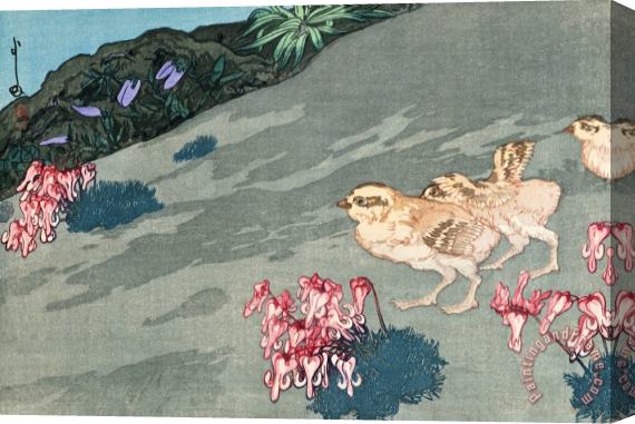 Hiroshi Yoshida Mountain Chicken And Flower (raicho to Komagusa), From The Series Japanese Alps, One of Twelve Subjects (nihon Arupusu Ju Ni Dai No Uchi) Stretched Canvas Print / Canvas Art