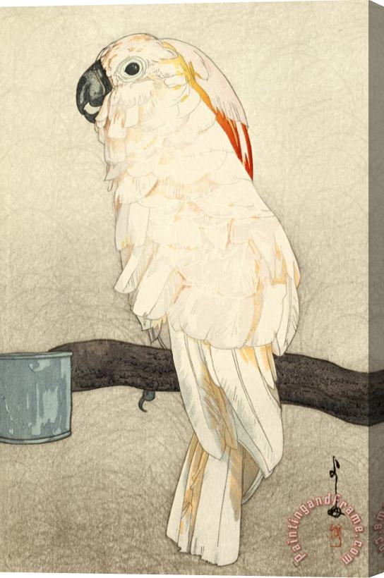 Hiroshi Yoshida Obatan Parrot (dobutsu En, Obatan Omu), From The Zoological Garden Series Stretched Canvas Painting / Canvas Art