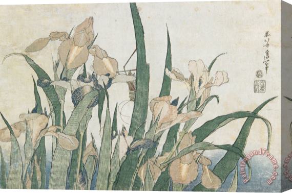 Hokusai Iris Flowers And Grasshopper Stretched Canvas Print / Canvas Art