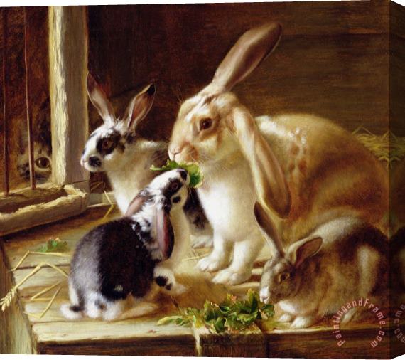 Horatio Henry Couldery Long-eared Rabbits In A Cage Watched By A Cat Stretched Canvas Painting / Canvas Art