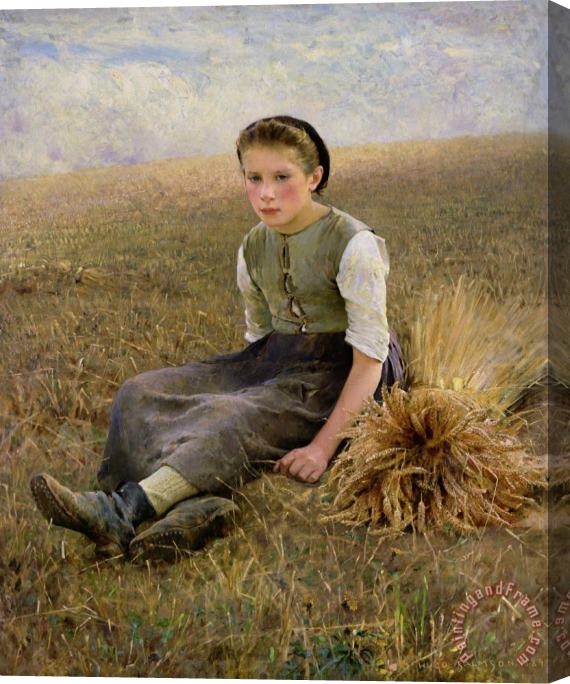 Hugo Salmon The Little Gleaner Stretched Canvas Painting / Canvas Art