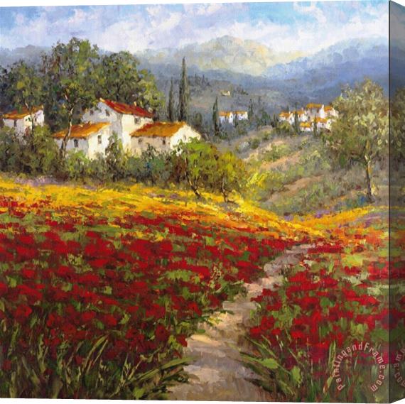 Hulsey Fleur Du Pays I Stretched Canvas Painting / Canvas Art