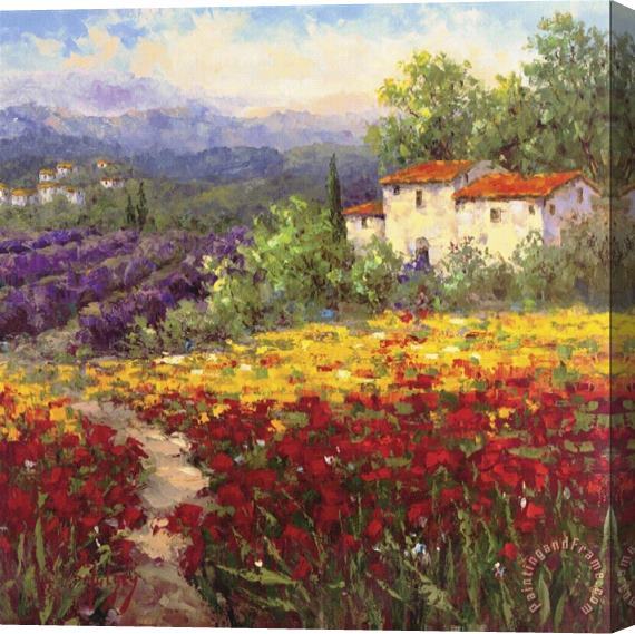 Hulsey Fleur Du Pays II Stretched Canvas Painting / Canvas Art