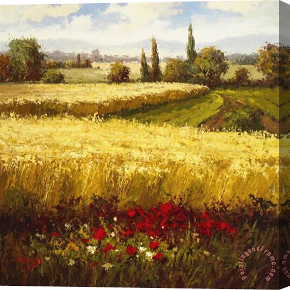 Hulsey Golden Harvest Stretched Canvas Painting / Canvas Art