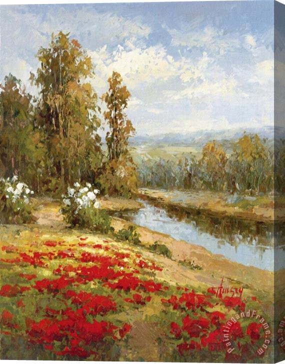 Hulsey Poppy Vista I Stretched Canvas Painting / Canvas Art