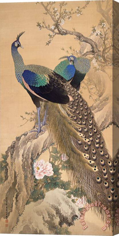Imao Keinen A Pair of Peacocks in Spring Stretched Canvas Painting / Canvas Art