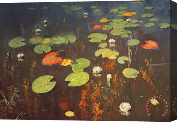 Isaak Ilyich Levitan Water Lilies Stretched Canvas Print / Canvas Art