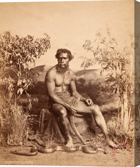 J W. Lindt Portrait of an Aboriginal Man Stretched Canvas Print / Canvas Art