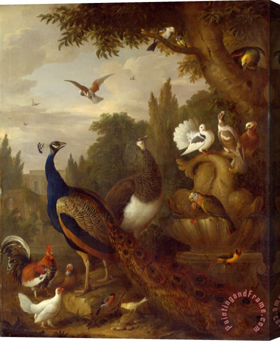 Jacob Bogdani Peacock, Peahen, Parrots, Canary, And Other Birds in a Park Stretched Canvas Print / Canvas Art
