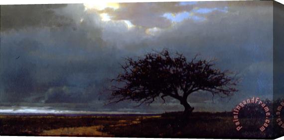 Jacob Collins Kenya Tree Stretched Canvas Print / Canvas Art