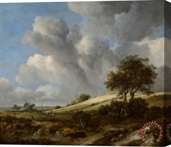 Jacob Isaacksz. van Ruisdael A Cornfield with The Zuiderzee in The Background Stretched Canvas Painting / Canvas Art