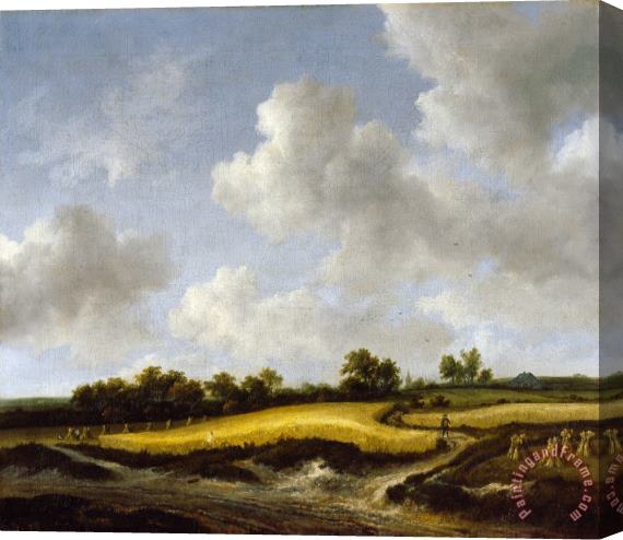 Jacob Isaacksz. Van Ruisdael Landscape with a Wheatfield Stretched Canvas Painting / Canvas Art