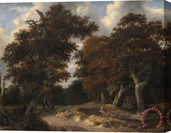 Jacob Isaacksz. van Ruisdael Road Through an Oak Forest Stretched Canvas Print / Canvas Art