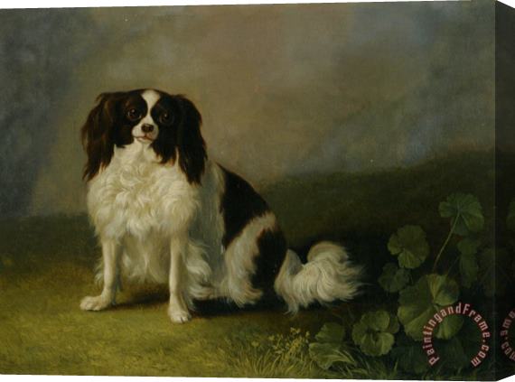 Jacob Philipp Hackert A King Charles Spaniel in a Landscape Stretched Canvas Print / Canvas Art