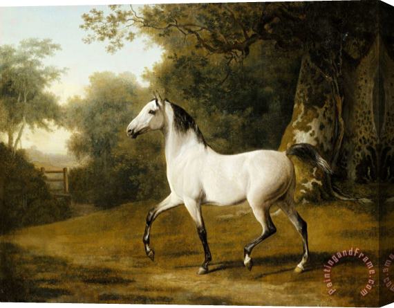 Jacques-Laurent Agasse A Grey Arab Stallion in a Wooded Landscape Stretched Canvas Print / Canvas Art