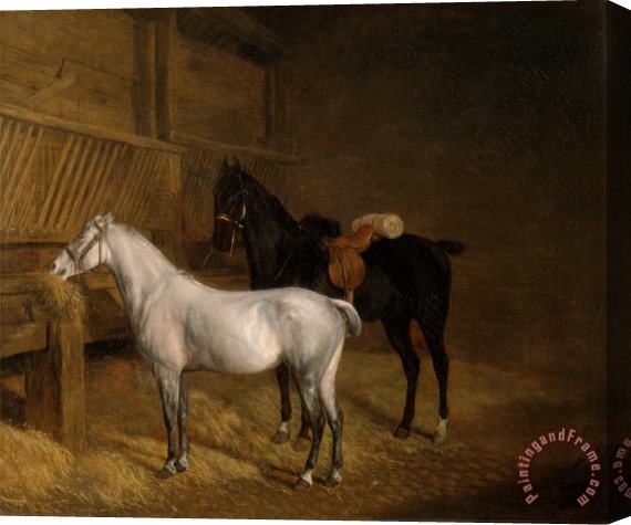 Jacques-Laurent Agasse A Grey Pony And a Black Charger in a Stable Stretched Canvas Print / Canvas Art
