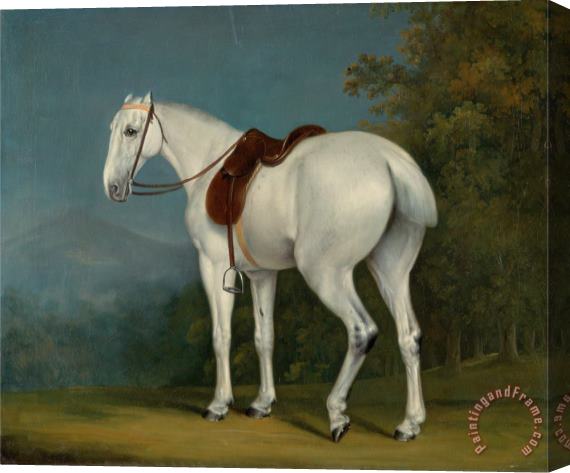 Jacques-Laurent Agasse A Lady's Grey Hunter Stretched Canvas Painting / Canvas Art