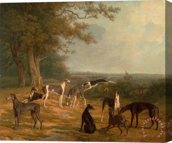 Jacques-Laurent Agasse Nine Greyhounds in a Landscape Stretched Canvas Print / Canvas Art