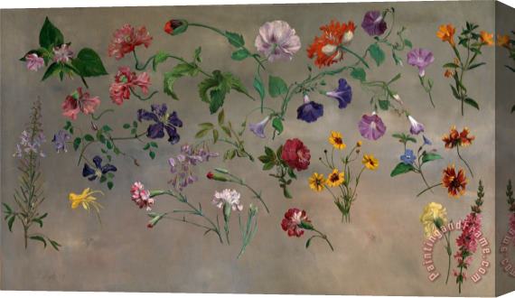 Jacques-Laurent Agasse Studies of Flowers Stretched Canvas Painting / Canvas Art
