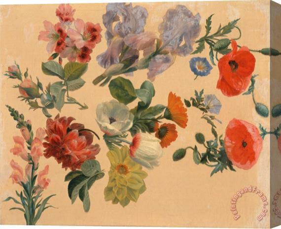 Jacques-Laurent Agasse Studies of Summer Flowers Stretched Canvas Print / Canvas Art
