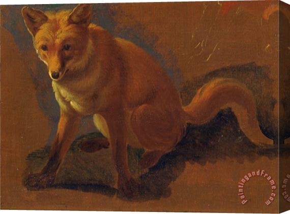 Jacques-Laurent Agasse Study of a Fox Stretched Canvas Painting / Canvas Art