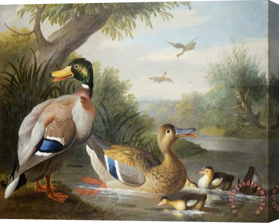 Jakob Bogdany Ducks in a River Landscape Stretched Canvas Painting / Canvas Art