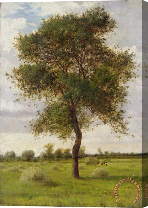 James Hey Davies Study of an Ash Tree in Summer Stretched Canvas Painting / Canvas Art