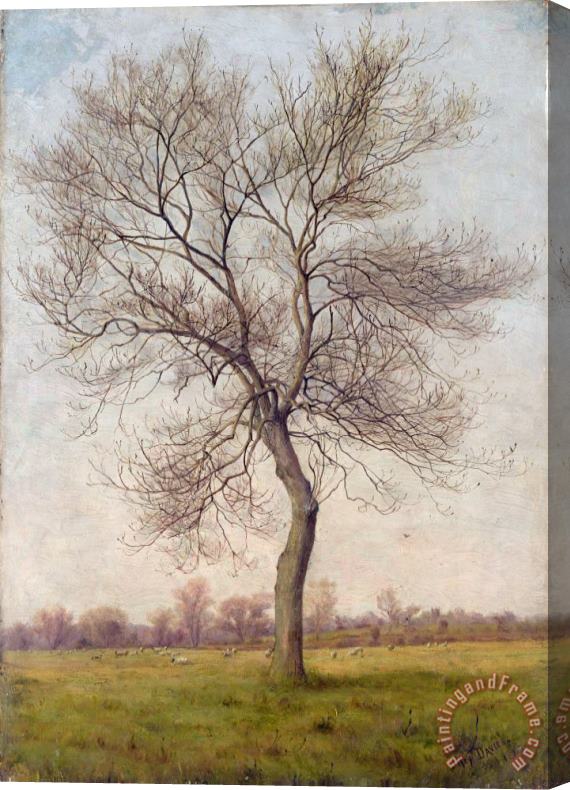 James Hey Davies Study of an Ash Tree in Winter Stretched Canvas Painting / Canvas Art