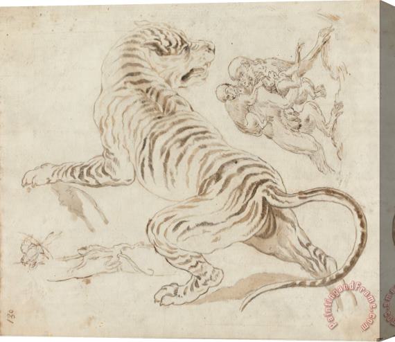 James Northcote Study for a Tiger And Monkeys Stretched Canvas Print / Canvas Art