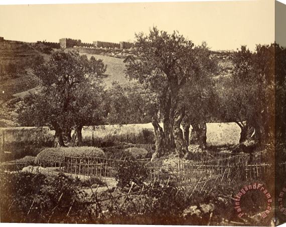 James Robertson  The Garden of Gethsemane Stretched Canvas Print / Canvas Art