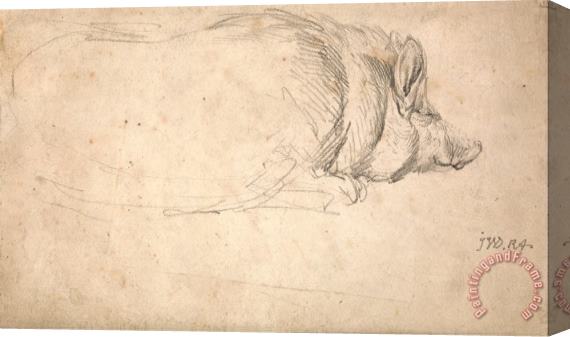 James Ward A Hog, Sleeping Stretched Canvas Print / Canvas Art